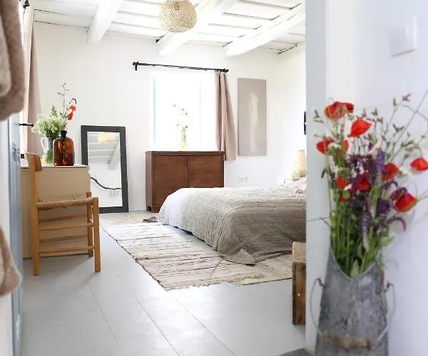 Dejavu Haz Szentantalfa